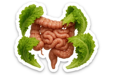 foglie di insalata che attaccano un intestino anatomico umano per distruggerlo, iperrealistico sticker