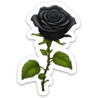 black rose fire sticker