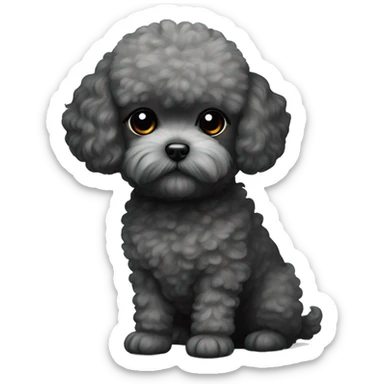 Toy poodle with black Scottish Fold sticker