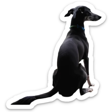 Slim Chinese girl with long black hair and her completely solid grey Italian greyhound looking out a window together on a snowy day, the dog has absolutely no white markings anywhere, completely uniform grey color throughout sticker