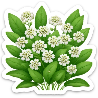 buckwheat coverrop sticker