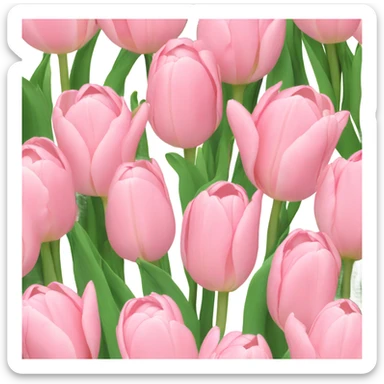 background of light pink tulips sticker