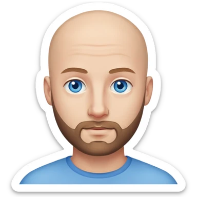 Attractive bald man with a short beard and blue eyes  sticker