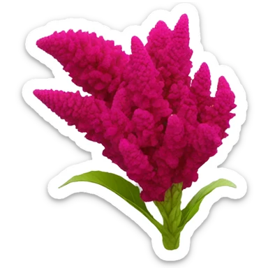 celosia flower sticker