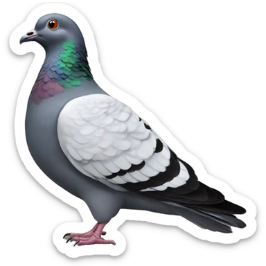 pigeon-pigeon-pigeon sticker