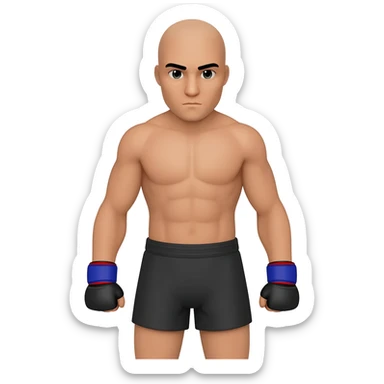 mma sticker
