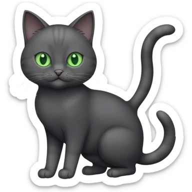 full body gorgeous solid dark grey cat with green eyes, white paws and white whiskers playing sticker