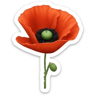 Poppy sticker