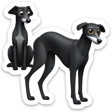 Black greyhound and raccoon sticker