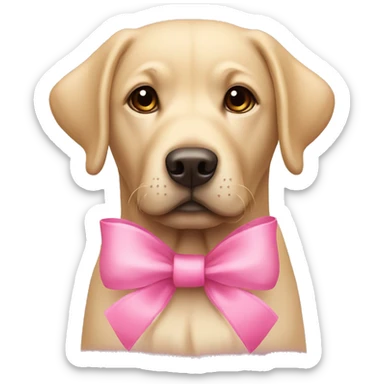 Labrador with pink bow  sticker
