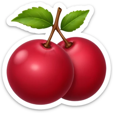 Cranberry  sticker