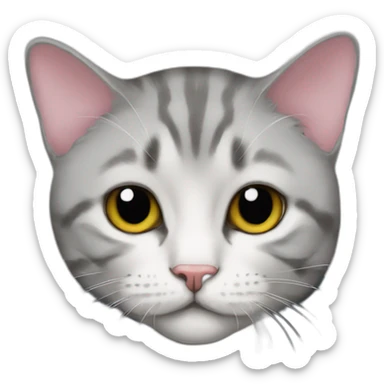 Vetements cat sticker