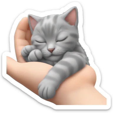 grey kitten sleeping on the girl’s hands  sticker