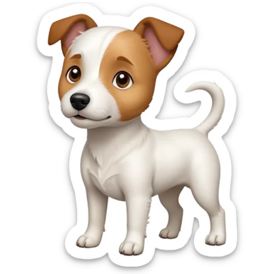 a full body white jack russel looking dog the size of a kelpie with light brown ears and a light brown patch on one eye and a large snout sticker