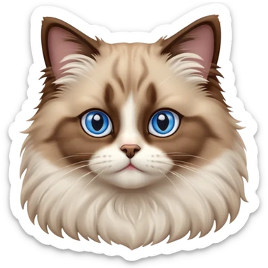 cinematic-adorable-big-eyed-fluffy-brown ragdoll-cat-portrait-emoji,-head-tilted-playfully-with-a-sweet-expression,-fluffy-white and brown-fur,-simplified-yet-irresistibly-cute-features-with-large,-expression, blue eyed ragdoll cat sticker