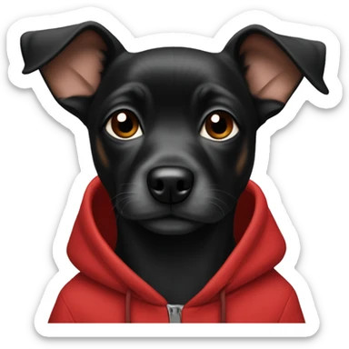 Little black dog pincher in red hoodie  sticker