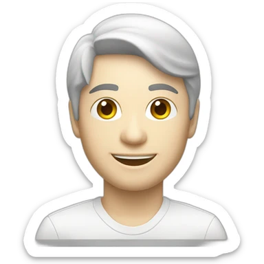 Toyota avalon 2011 model white sticker