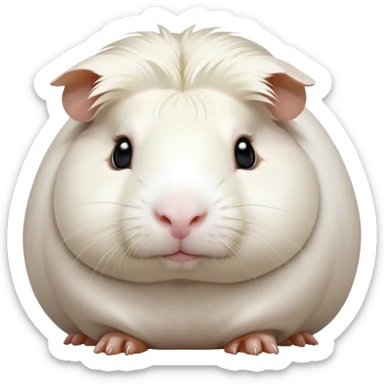 Cinematic Noble White Guinea Pig Portrait Emoji, Poised and regal, with a compact, chubby build and a pristine, well-groomed pure white coat, deep-set soulful dark eyes, Simplified yet sharp and sophisticated features, highly detailed, glowing with a soft, dignified glow, high shine, intelligent and sweet, stylized with an air of gentle purity, focused and attentive, soft glowing outline, capturing the essence of a watchful and confident little companion, so majestic it feels as though it could scurry out of the screen with effortless authority! sticker