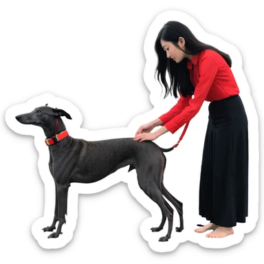 A very beautiful and attractive 25-year-old Japanese woman with long flowing black hair gently petting a PURE SOLID DARK GREY whippet wearing only a bright RED COLLAR on a beach at night under a starry sky. The whippet MUST be 100% SOLID DARK GREY with ABSOLUTELY NO WHITE MARKINGS ANYWHERE - specifically NO WHITE on face, NO WHITE on chest, NO WHITE on paws, NO WHITE anywhere - ENTIRELY ONE CONSISTENT SOLID DARK GREY COLOR throughout the entire dog from nose to tail tip. Only exception is the bright red collar. Deep blue night sky filled with bright stars, moonlight reflecting on the ocean, sandy beach in the foreground. sticker