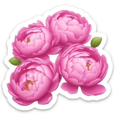 Bouquet of pink peonies sticker