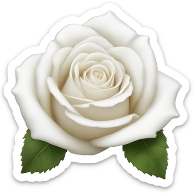 White rose sticker