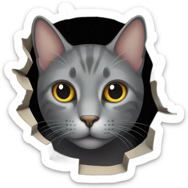 gray cat peaking out of hole sticker