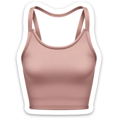 Crop Top in Rose Taupe sticker