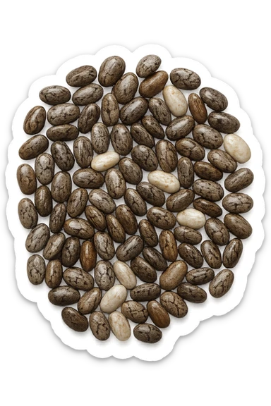 semi di chia visti dall'alto sticker