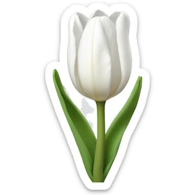 White tulip sticker