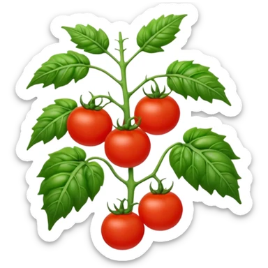tomato plant sticker