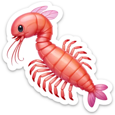 Sugar shrimp sticker