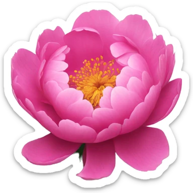 Pink peony flower sticker