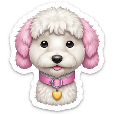 white labradoodle dog pink collar sticker