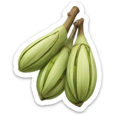Cardamom  sticker