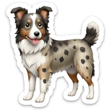 Merle Border Collie dog full body sticker