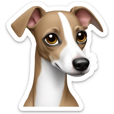 Italian greyhound fawn and white  sticker