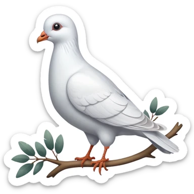 white pigeon sticker