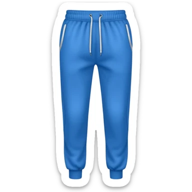 tracksuit bottom blue sticker