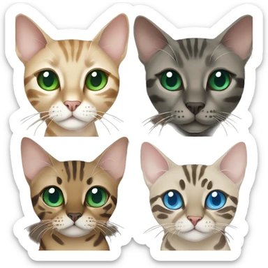 Seal Bengal cat with Blue eyes + charcoal Sepia bengal cat with Green eyes sit Next to each other  sticker