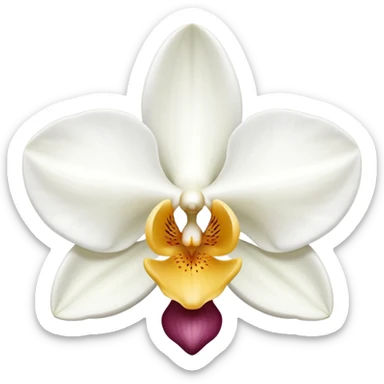 orchid sticker