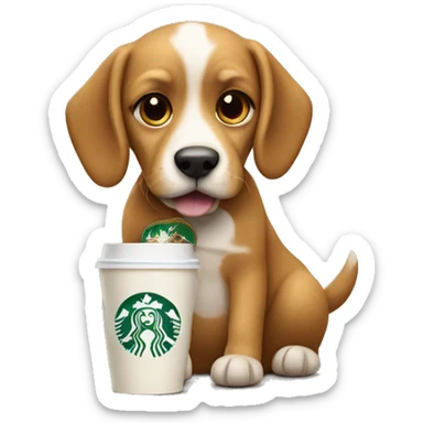 Dog with the starbucks caffe sticker