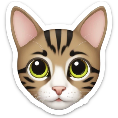  brown-grey cat with black striped pattern, age 4-5 months, eyes yellow-green, sticker