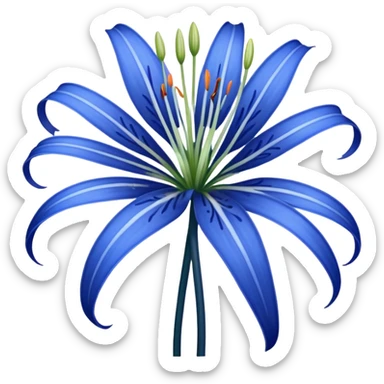 Blue spider Lily  sticker