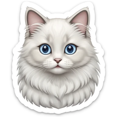 Baby ragdoll cat sticker