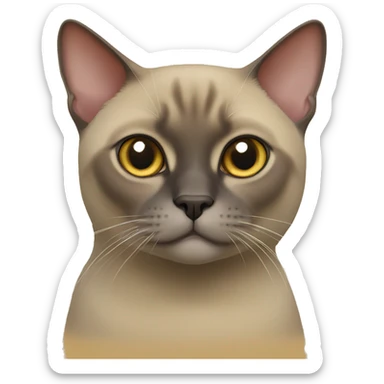 burmese cat sticker