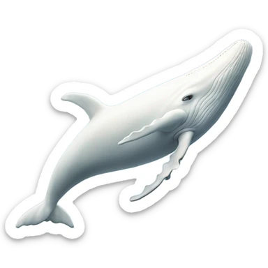 white whale , underside sticker