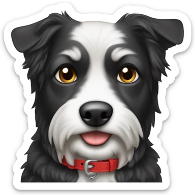 Schwarzer lockiger kleiner Hund mit rotem Halsband und weißen Augenbrauen und Füßen sticker