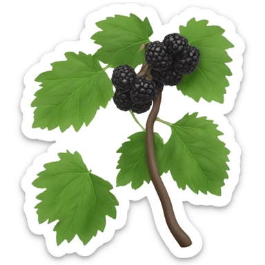 one black mulberry sticker