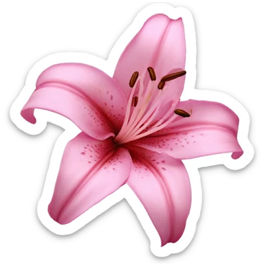 lily flower pink sticker