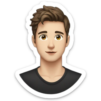 portrait of 18 years old guy, brown hair to the left, gray eyes, black shirt sticker